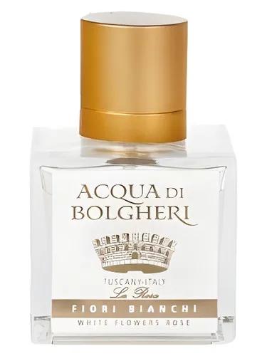 La Rosa Dr. Taffi — Dr. Taffi