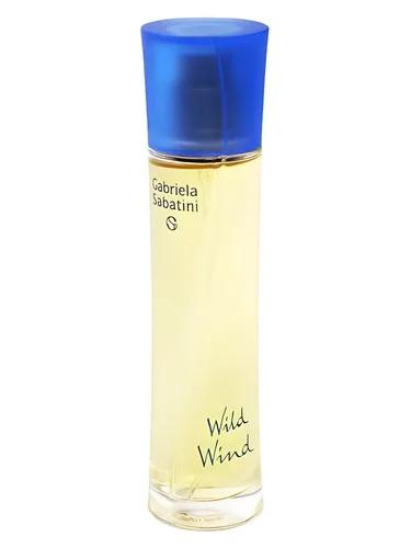 Wild Wind — Gabriela Sabatini
