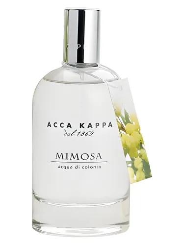 Mimosa — Acca Kappa