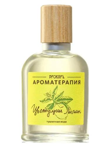Blooming Lemon (Цветущий лимон) — Brocard / Брокард
