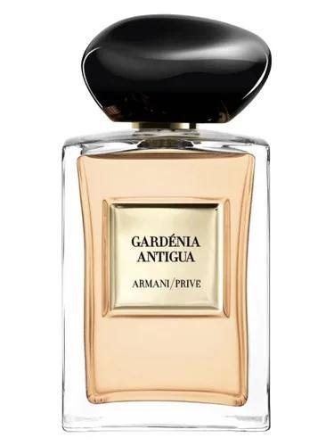 Gardénia Antigua — Giorgio Armani
