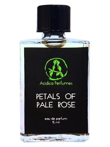 Petals of pale rose — Acidica Perfumes