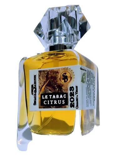 Le Tabac & Citrus Atelier Segall & Barutti — Atelier Segall & Barutti