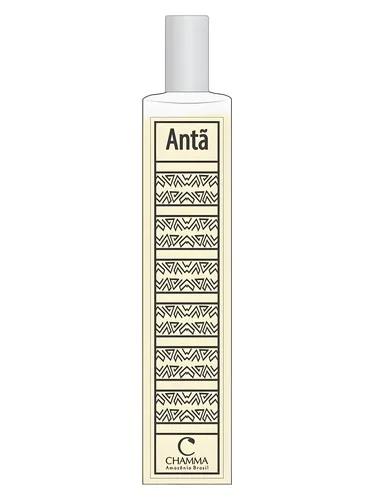 Antã Chamma da Amazônia — Chamma da Amazonia