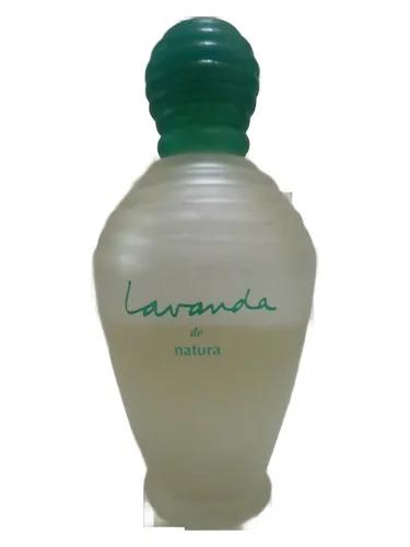 Lavanda — Natura