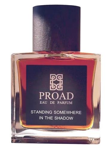 Standing Somewhere In The Shadow — Proad