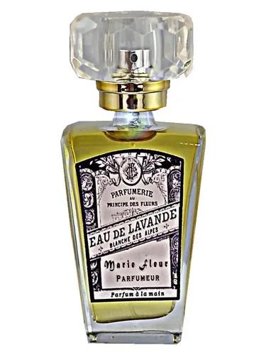Eau de Lavander Atelier Segall & Barutti — Atelier Segall & Barutti