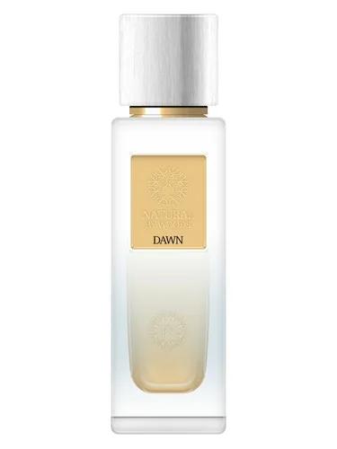 Dawn — The Woods Collection