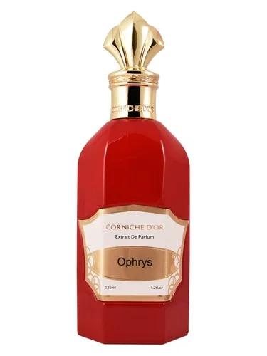 Ophrys Corniche D'Or — Corniche D Or