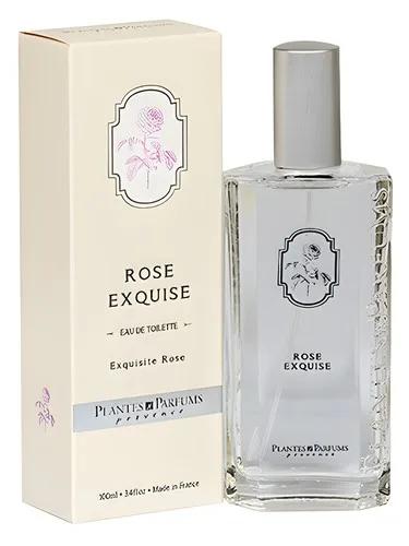 Rose Exquise Plantes & Parfums — Plantes & Parfums
