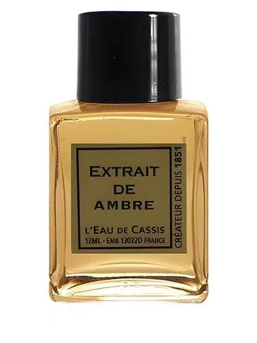 Ambre L'Eau De Cassis — L Eau De Cassis