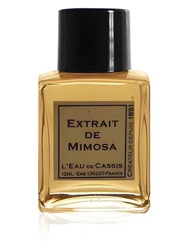 Mimosa L'Eau De Cassis — L Eau De Cassis
