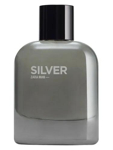 Silver — Zara