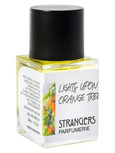 Lights Upon Orange Tree — Strangers Parfumerie