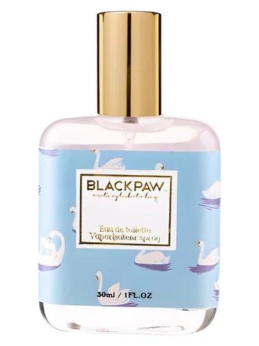 Swan — Black Paw