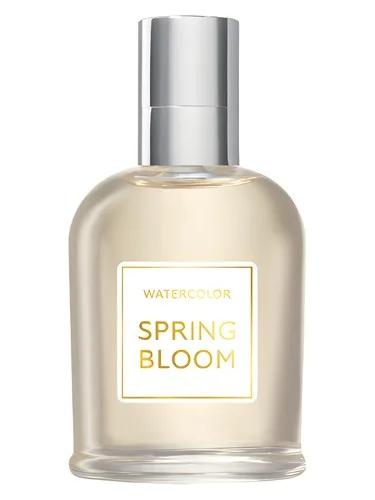 Spring Bloom — Brocard / Брокард