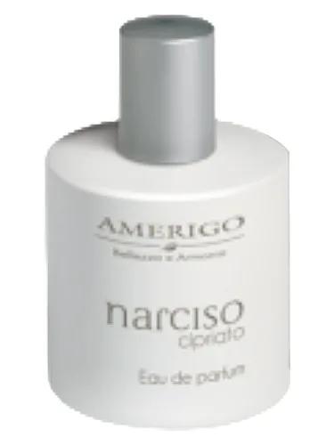 Narciso Cipriato — Amerigo