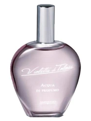 Violetta Di Tolosa — Amerigo