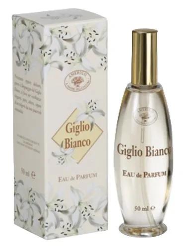 Giglio Bianco — Amerigo