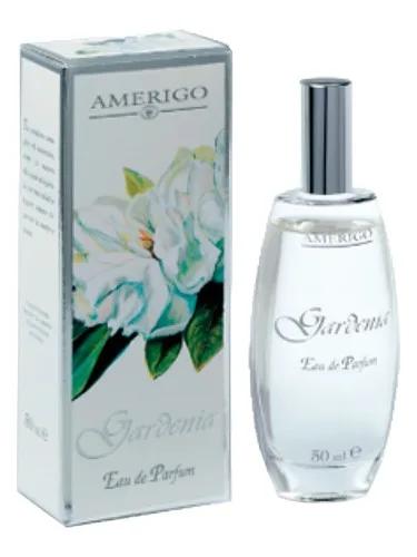 Gardenia — Amerigo
