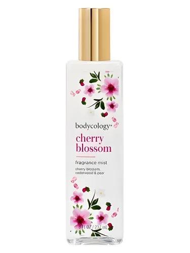 Cherry Blossom — bodycology