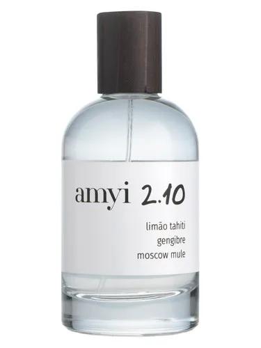 Amyi 2.10 — Amyi