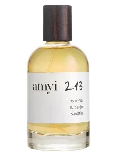 Amyi 2.13 — Amyi