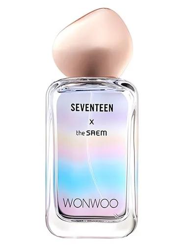 Seventeen X Wonwoo — The SAEM