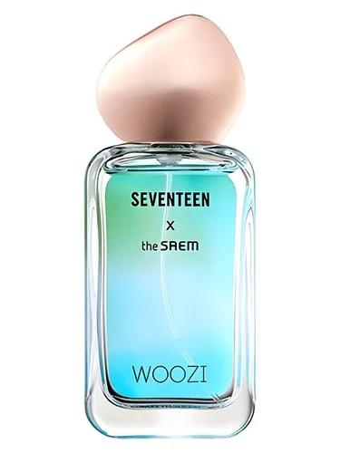 Seventeen X Woozi — The SAEM