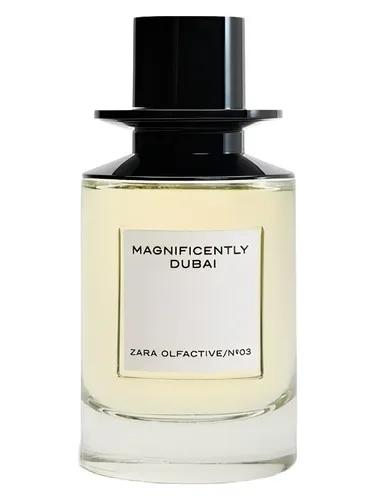 Magnificently Dubai — Zara