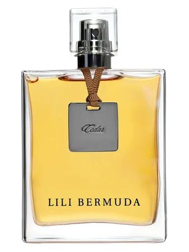 Cedar — Lili Bermuda