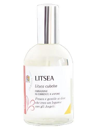 Litsea — Olfattiva