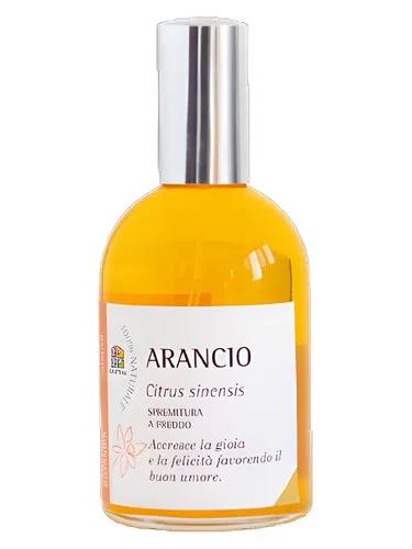 Arancio — Olfattiva
