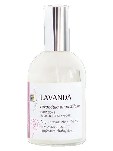 Lavanda — Olfattiva