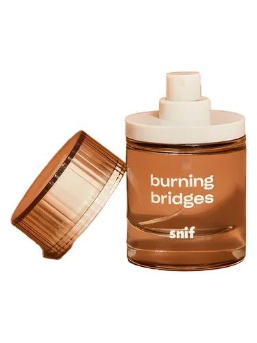 Burning Bridges — Snif