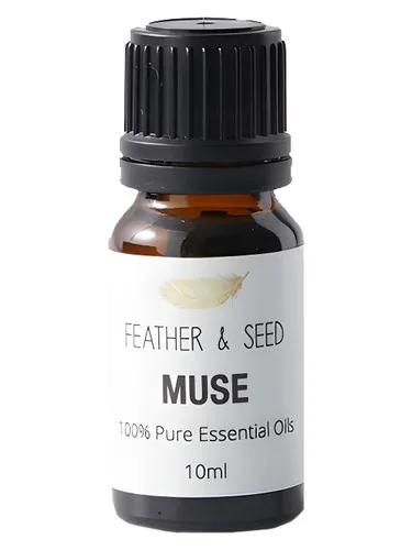 Muse — Sensor I Am