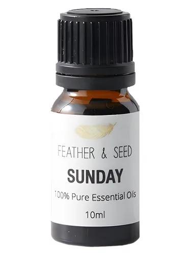 Sunday — Sensor I Am