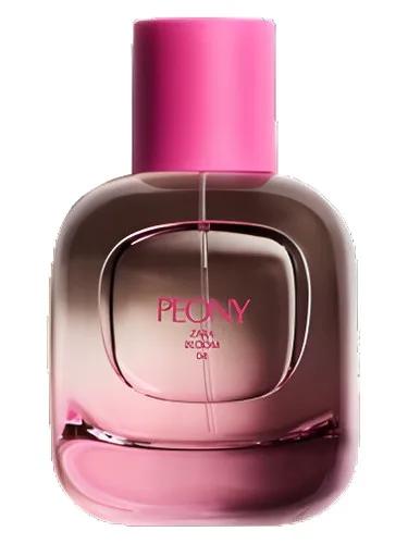 Peony — Zara