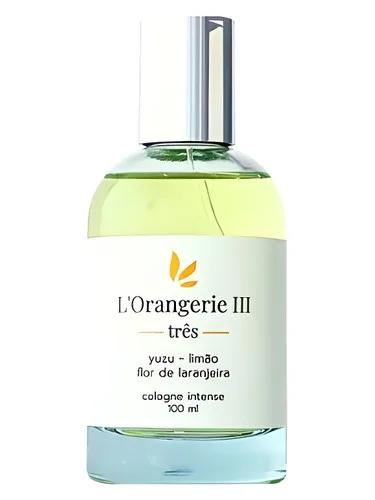 L'Orangerie III Maracujá Brasil — Maracuja Brasil