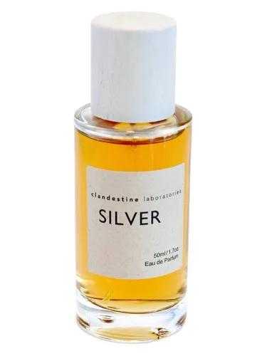 Silver — Clandestine Laboratories