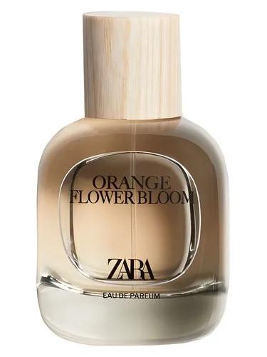 Orange Flower Bloom — Zara
