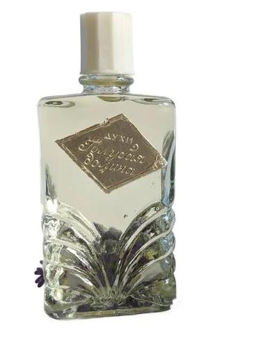 Голубая долина (Blue valley) Crimean rose – Крымская роза — Crimean rose Krymskaa roza