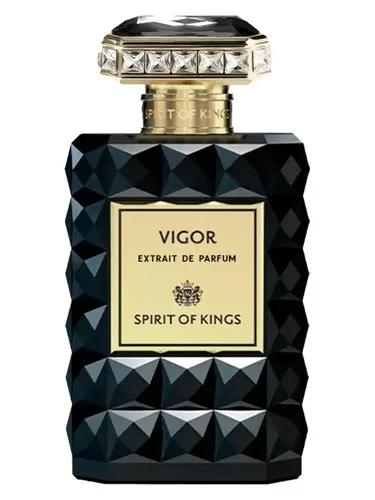 Vigor — Spirit of Kings