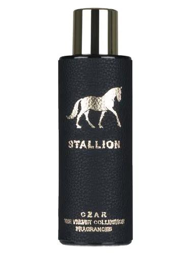 Stallion — CZAR