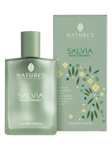 Salvia Mediterranea Nature's — Nature's