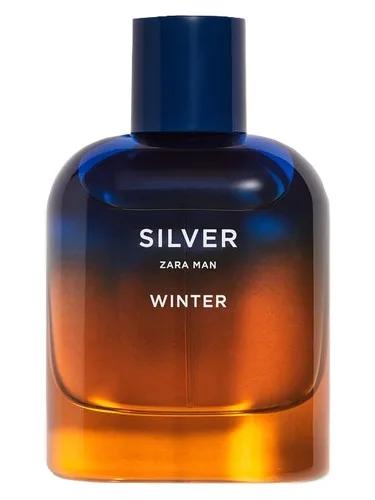 Silver Winter Zara Man — Zara