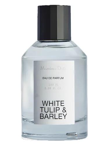 White Tulip & Barley — Massimo Dutti