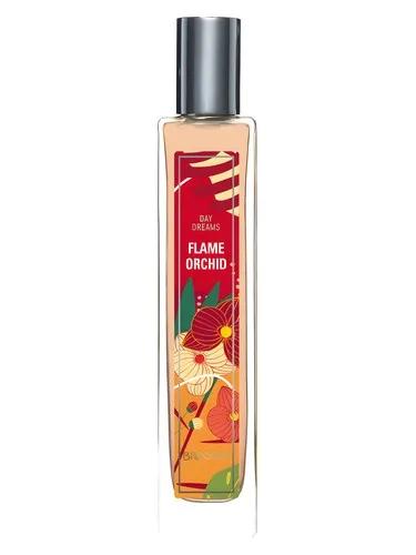 Flame Orchid — Brocard / Брокард