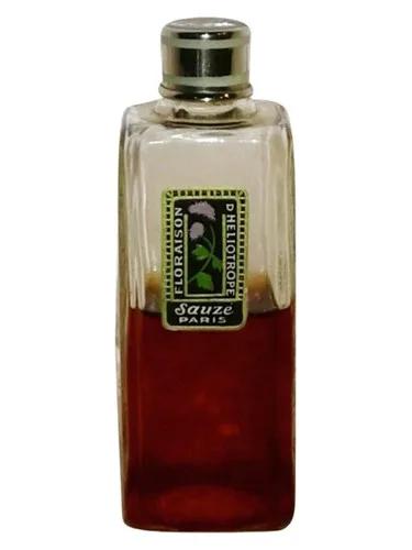 Floraison d'Heliotrope Sauzé — Sauze