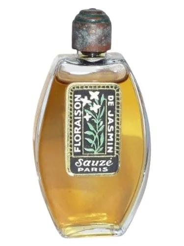Floraison de Jasmin Sauzé — Sauze